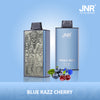 JNR Mega Box 25000 Puffs Disposable Vape (æske med 10 stk)