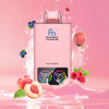 RandM Tornado 35000 Puffs Disposable Vape
