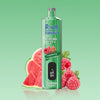 REndM Shisha 25000 Puffs(æske med 10 stk)