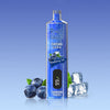 REndM Shisha 25000 Puffs(æske med 10 stk)
